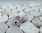 Preview: Baby Maus Weiß