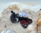 Preview: Schmetterlings-Schildkröte Mini