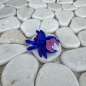 Preview: Mini Orchideenspinne – Anmut in Bewegung