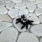 Preview: Mini Totenkopf-Spinne – Geheimnisvoll, beweglich und mit Charakter