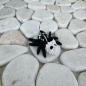 Preview: Mini Totenkopf-Spinne – Geheimnisvoll, beweglich und mit Charakter