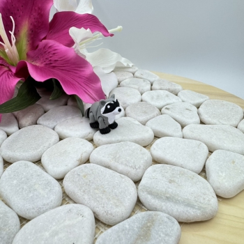 Hatchling Dachs – Kleiner Waldbewohner mit Charakter