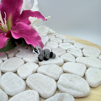 Hatchling Dachs – Kleiner Waldbewohner mit Charakter