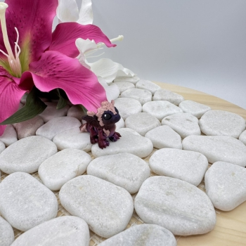 Hatchling Federn Drache – Zarter Wächter der Fantasiewelt