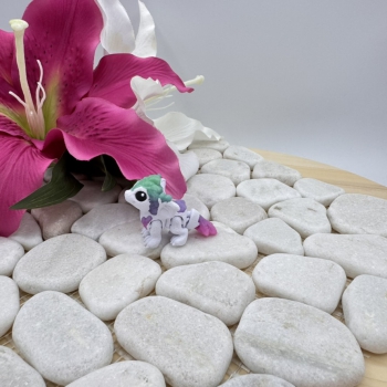 Hatchling Federn Drache – Magischer Hüter der Nacht