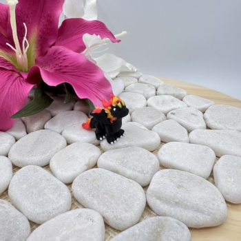 Hatchling Feuer Drache – Kleiner Hüter der Flammen