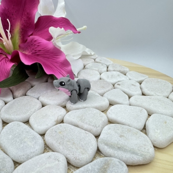 Hatchling Hippo – Kleines Nilpferd mit großem Charme