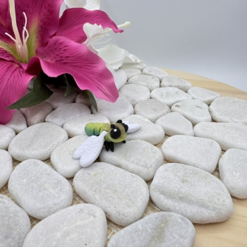 Hatchling Libelle – Magischer Lichtflieger der Fantasiewelt