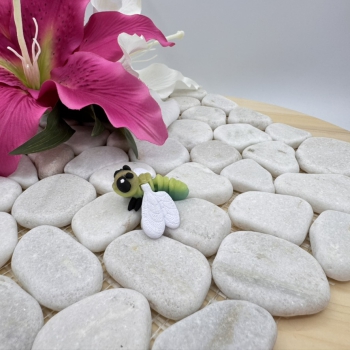 Hatchling Libelle – Magischer Lichtflieger der Fantasiewelt