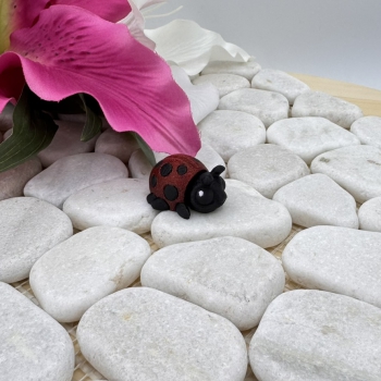 Hatchling Marienkäfer – Kleiner Glücksbringer