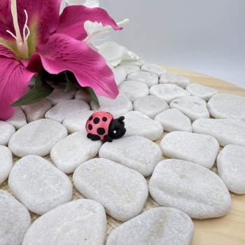 Hatchling Marienkäfer – Kleiner Glücksbringer der Fantasiewelt