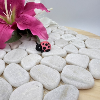 Hatchling Marienkäfer – Kleiner Glücksbringer der Fantasiewelt