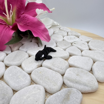 Hatchling Orca – Kleiner Hüter der Meere