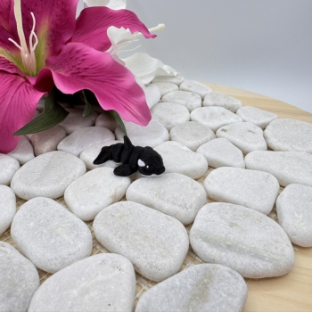 Hatchling Orca – Kleiner Hüter der Meere