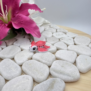 Hatchling Schildkröte – Kleine Meeresschönheit im Mini-Format