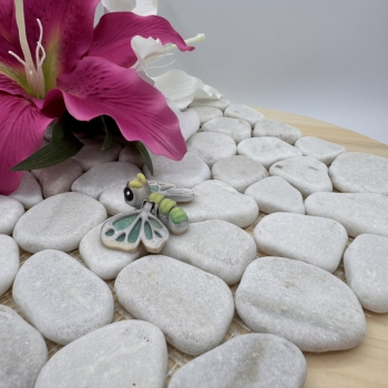 Hatchling Schmetterling – Zarter Lichtbote mit magischem Leuchten