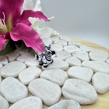 Hatchling Zebra – Kleiner Streifenheld der Savanne