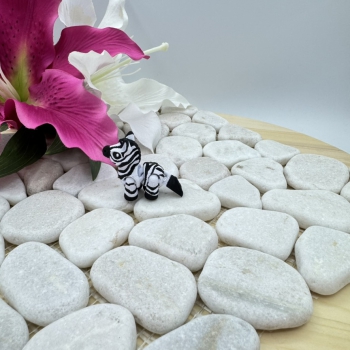 Hatchling Zebra – Kleiner Streifenheld der Savanne