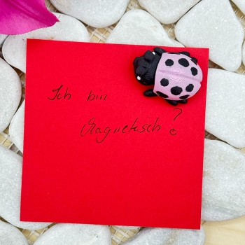 Hatchling Marienkäfer mit Magnet – Süßer Glücksbringer für deinen Kühlschrank