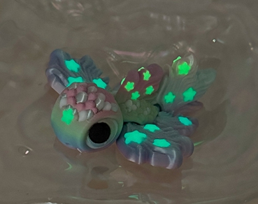 Frühlings-Fisch-Schildkröte Leuchtet im Dunkeln