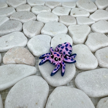 Mini Flecken‑Spinne – Farbenfroh, verspielt und absolut einzigartig