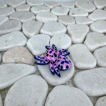 Mini Flecken‑Spinne – Farbenfroh, verspielt und absolut einzigartig