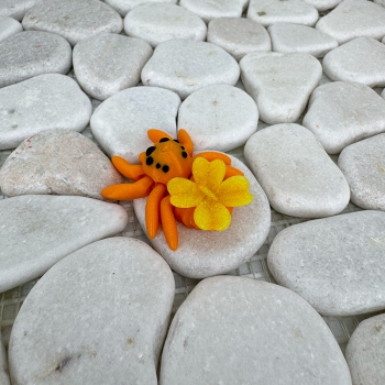 Mini Glücksspinne – Ein kleines Wesen voller Hoffnung