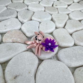 Mini Lilien-Spinne – Zart, beweglich und voller Magie