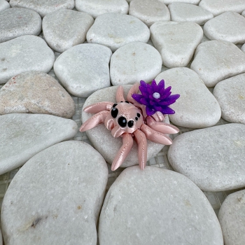 Mini Lilien-Spinne – Zart, beweglich und voller Magie
