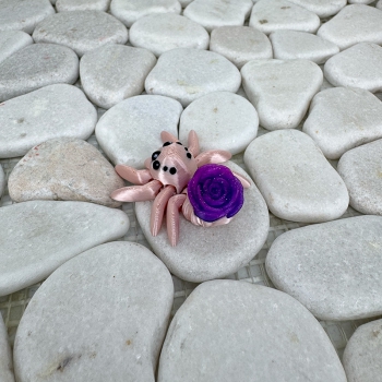 Mini Rosenspinne – Zart, beweglich und voller Gefühl