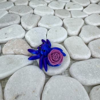 Mini Rosenspinne – Zart, romantisch und beweglich