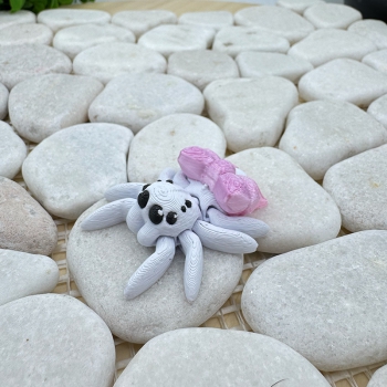 Mini Schleifen‑Spinne – Zuckersüß mit Schleife auf dem Rücken