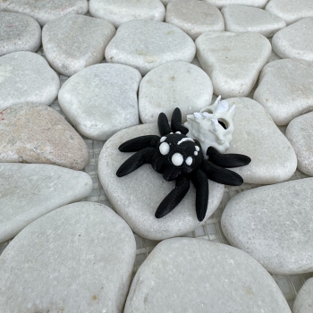 Mini Totenkopf-Spinne – Geheimnisvoll, beweglich und mit Charakter