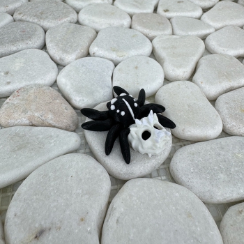 Mini Totenkopf-Spinne – Geheimnisvoll, beweglich und mit Charakter