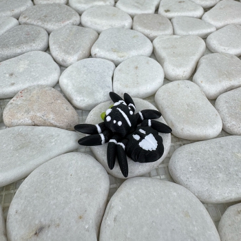 Mini Spinne Schwarz – Ausdrucksstark, beweglich und unverwechselbar