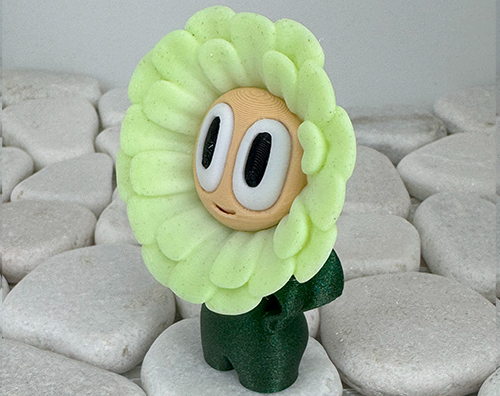 Gänseblümchen Weiß 