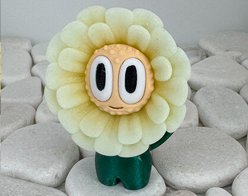 Gänseblümchen Weiß 