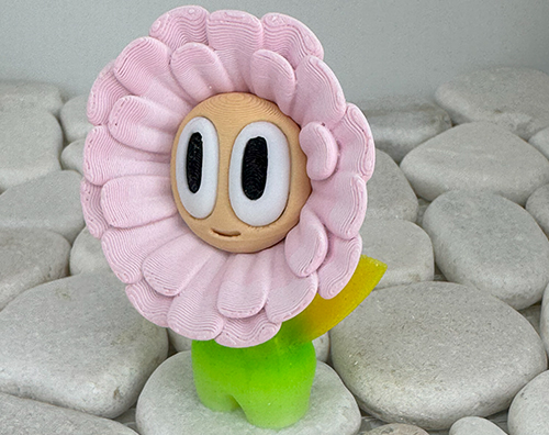 Gänseblümchen Rosa