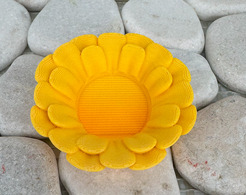 Gänseblümchen