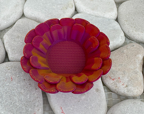 Gänseblümchen