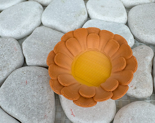 Gänseblümchen