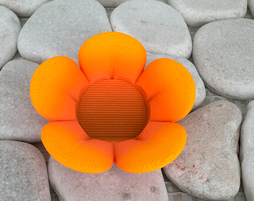 Blume 