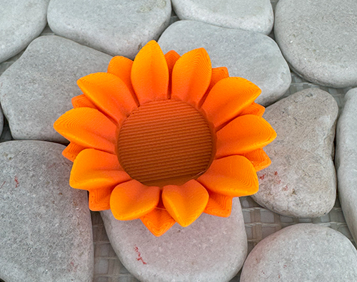 Sonnenblume