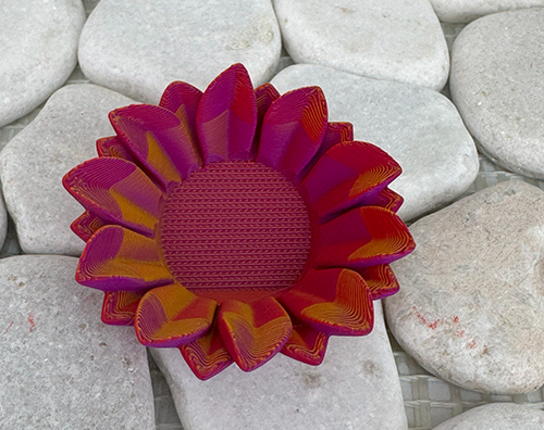 Sonnenblume 