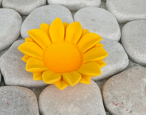 Sonnenblume