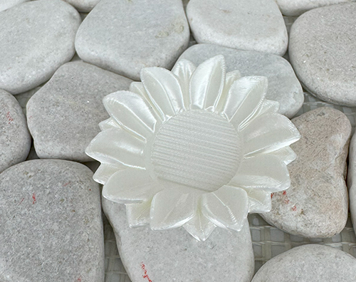 Sonnenblume