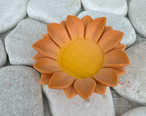 Sonnenblume