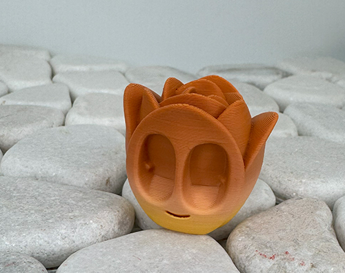 Tulpe