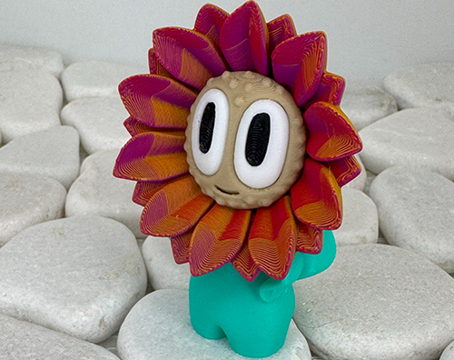 Sonnenblume Tricolor