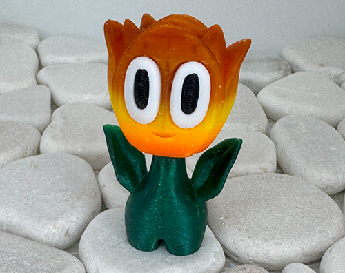 Tulpe Orange